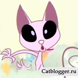 блог про котов и кошек